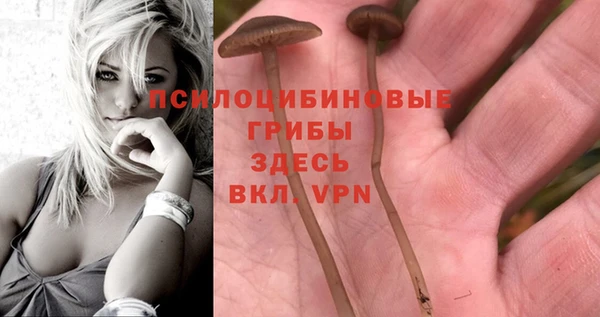 гашик Абдулино