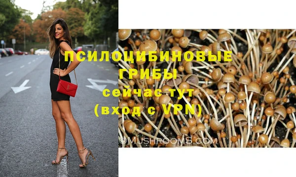гашик Абдулино