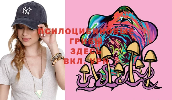гидра Абинск