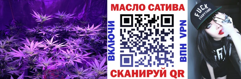 omg как войти  Александровск-Сахалинский  ТГК концентрат 